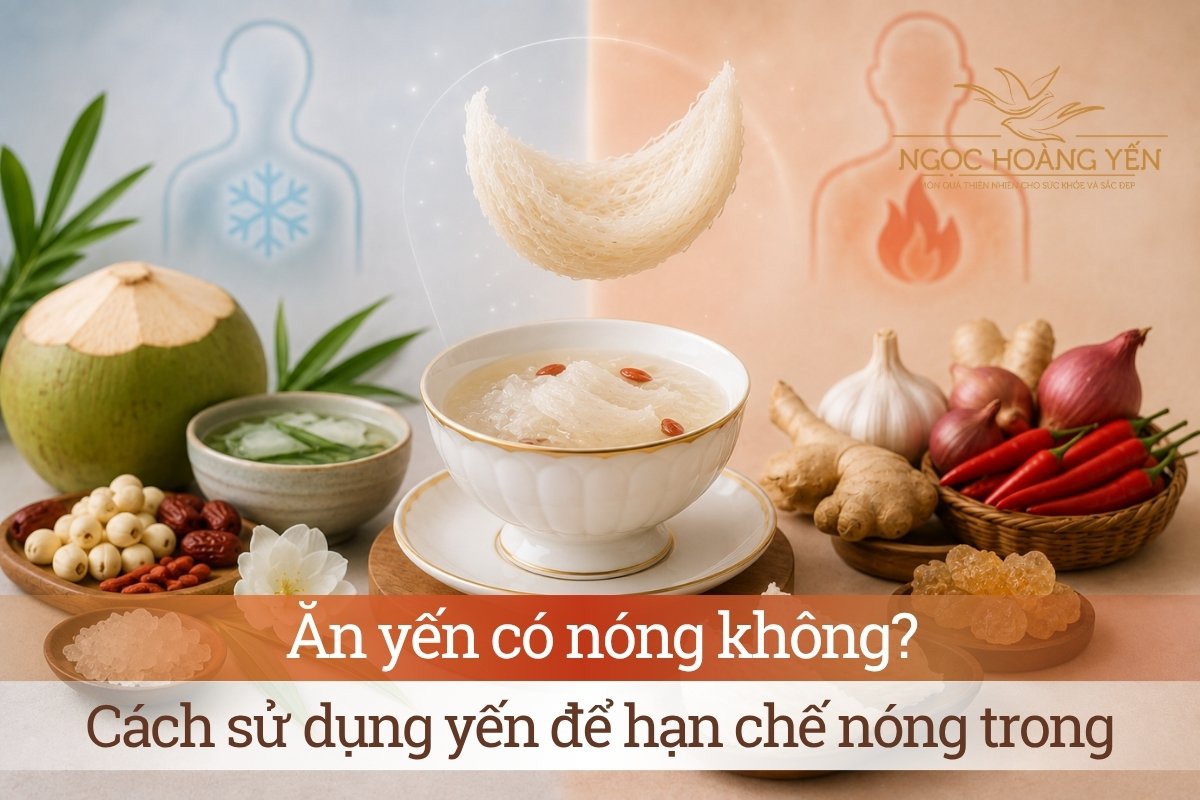 Ăn yến có nóng không? Cách sử dụng yến để hạn chế nóng trong