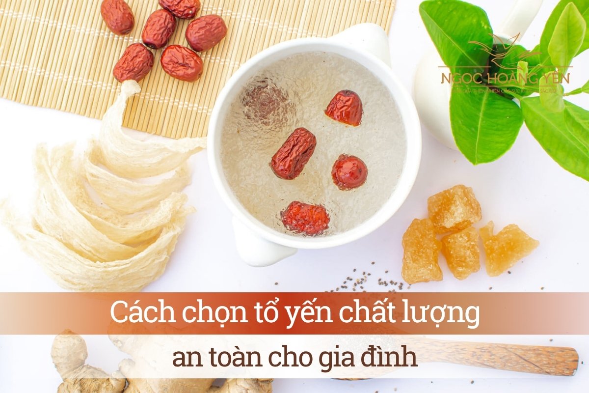 Cách chọn tổ yến chất lượng, an toàn cho gia đình