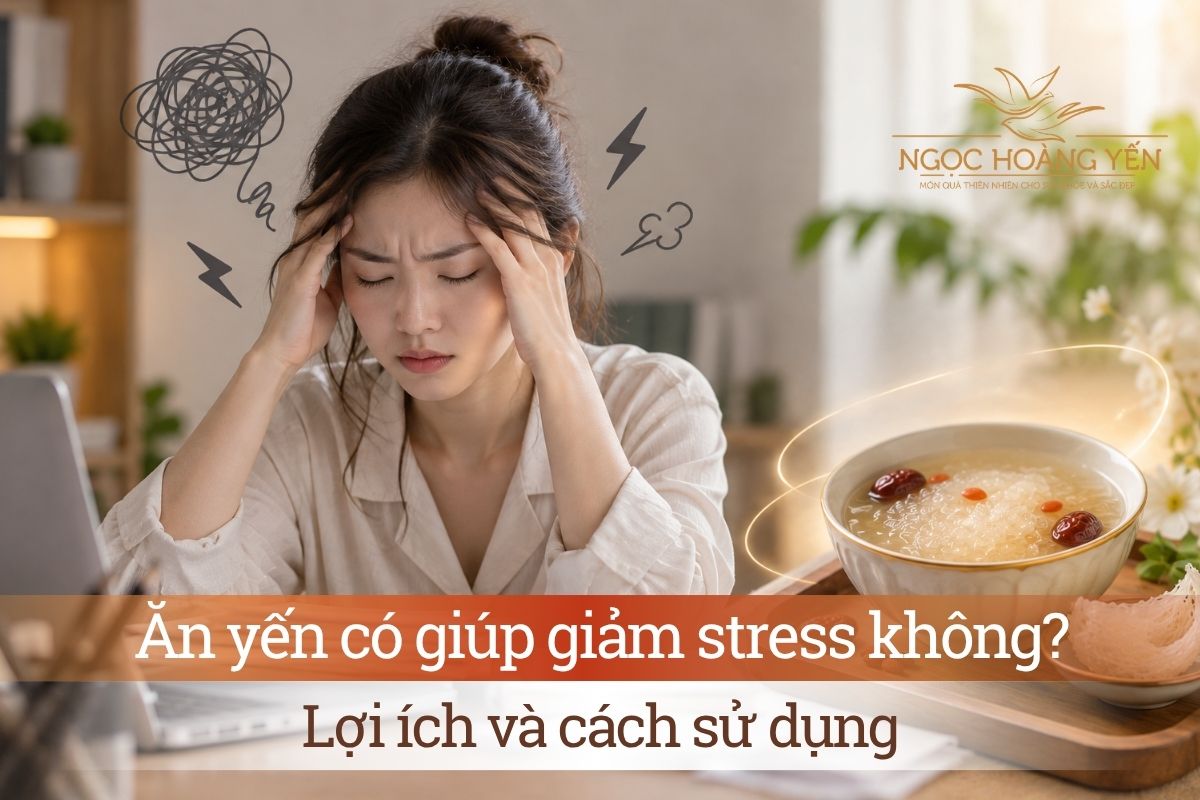 Ăn yến có giúp giảm stress không? Lợi ích và cách sử dụng