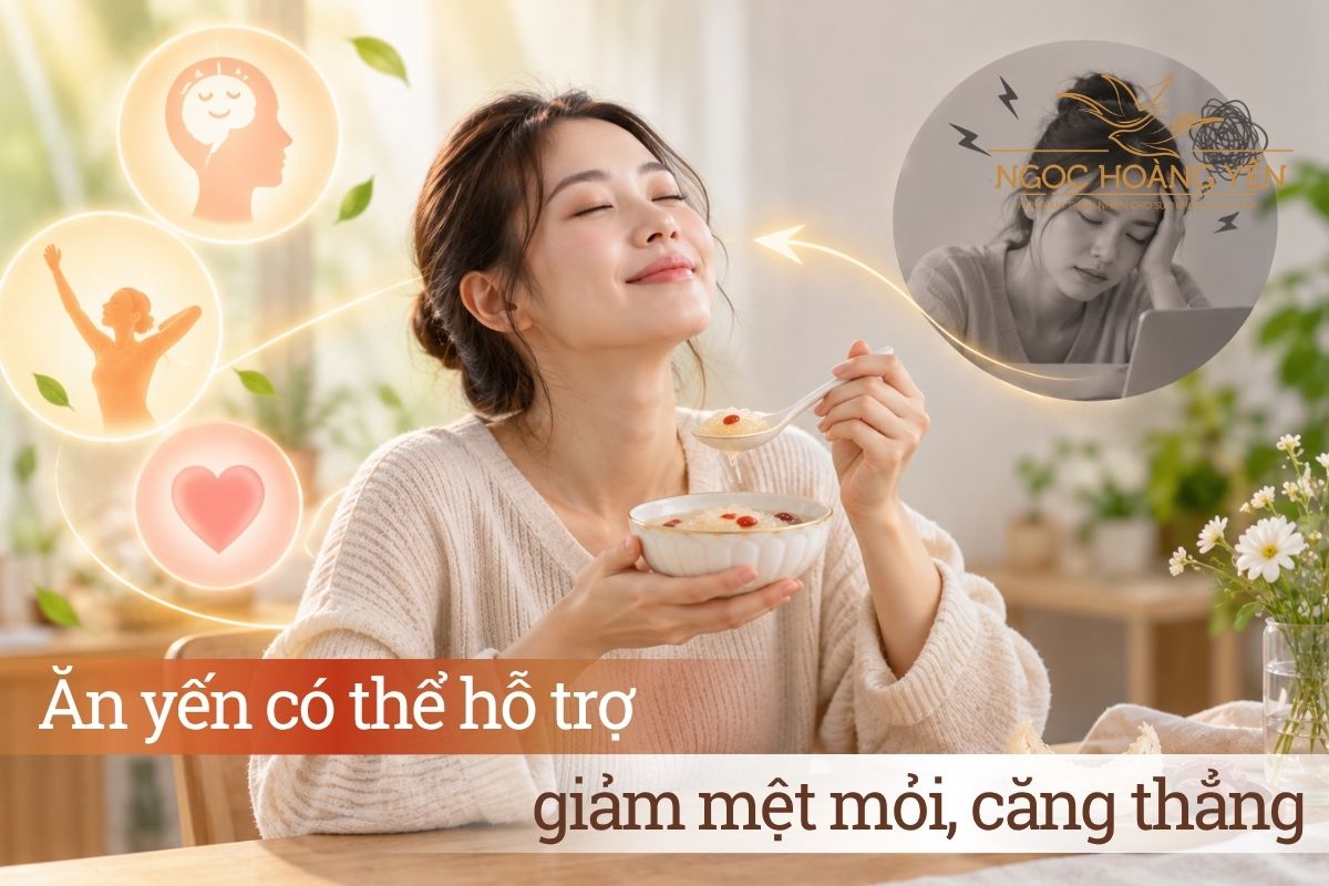 Ăn yến có thể hỗ trợ giảm mệt mỏi, căng thẳng